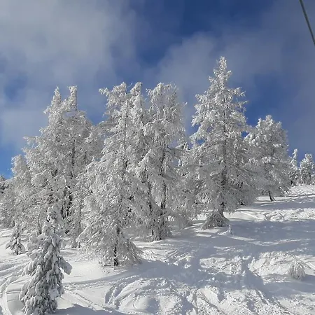 Neumann Fanning Apartment Mariapfarr