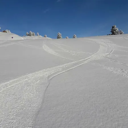 Apartment Neumann Fanning Mariapfarr