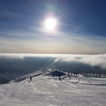 Apartment Neumann Fanning