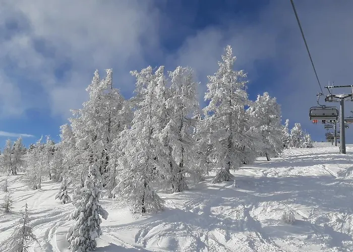 Neumann Fanning Apartment Mariapfarr