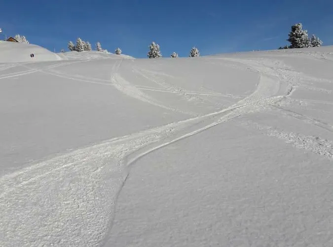 Διαμέρισμα Neumann Fanning Mariapfarr